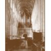 BIOS Journal - Issue 27